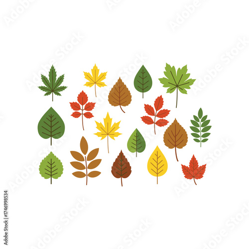 Collection of colorful autumn leaves in various shapes and sizes representing the beauty of fall foliage and seasonal change