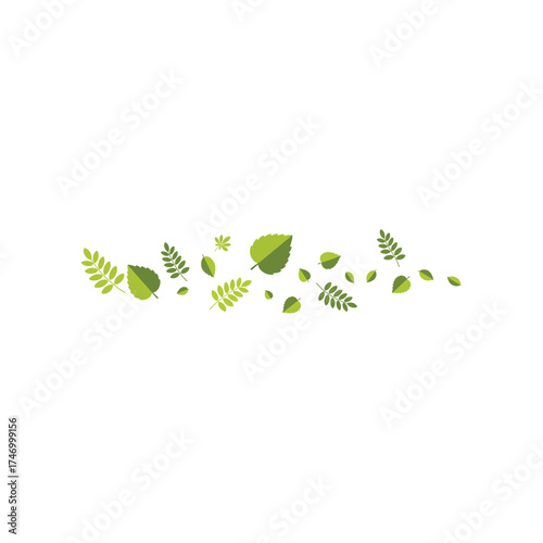 Scattered fresh green leaves and fern fronds drifting across a clean white background in a natural organic pattern