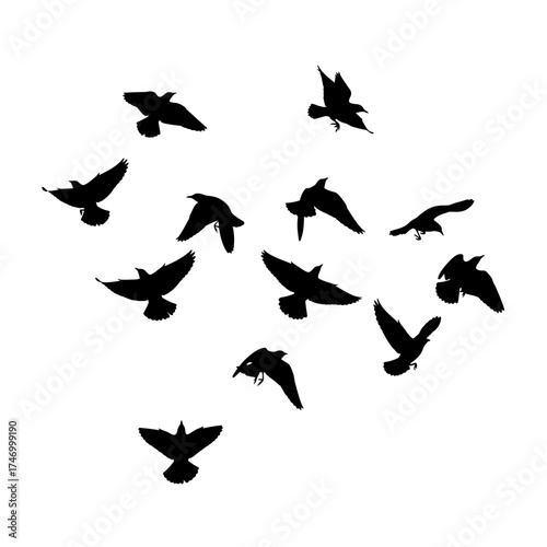 A flock of birds in silhouette flying across a white background.
