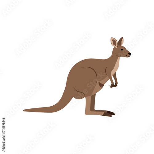 A brown kangaroo with a joey in its pouch stands facing left with its tail extended on a white background