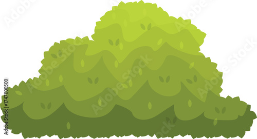 Green bush with many leaves growing in the garden creating a natural and vibrant atmosphere