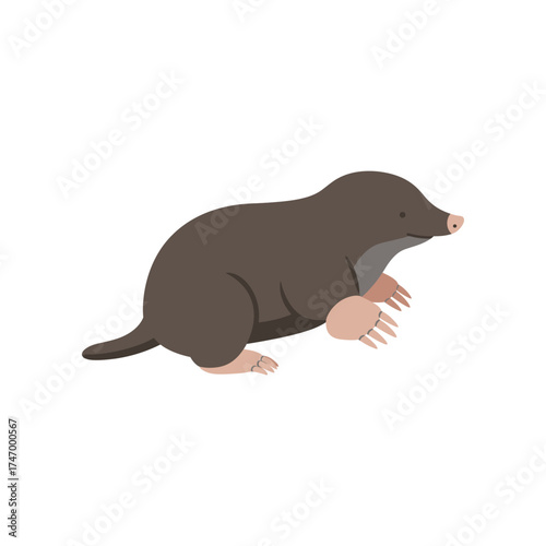 Cute cartoon illustration of a small brown mole with large digging claws and a pointed snout on a white background