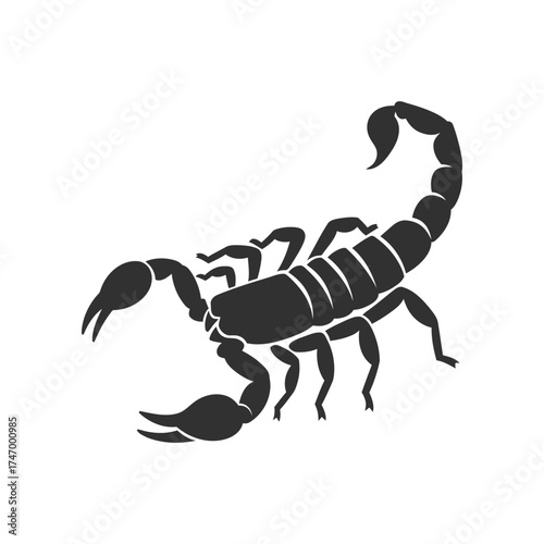 A stark black silhouette of a scorpion with its tail curved upwards and pincers open against a clean white background