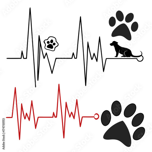 Heart rate pulse graph. Heartbeat icon. ECG, EKG test report. Electrocardiogram line symbol. Heart rhythm sign. Transparent png and vector illustration