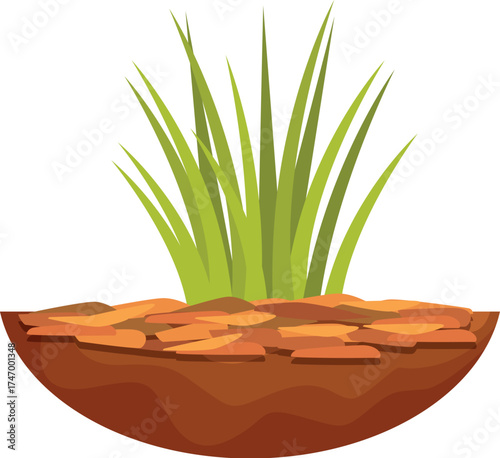 Lush green grass growing from a slice of brown soil, showcasing the essential elements of nature