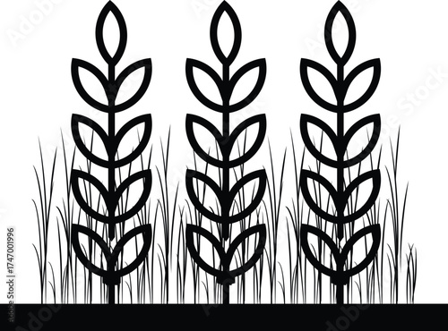 Outline Graphic of Natural Grain Growth and Agriculture Border