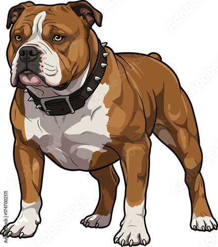 American Bulldog Vector dog Breeds Illustrations white color background