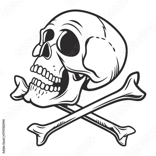 Black and white skull and crossbones graphic pirate 1