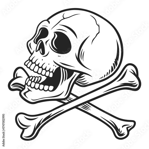 Black and white skull and crossbones graphic pirate