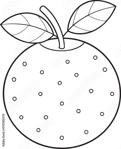 Simple outline drawing of cartoon nance fruit with leaves and stem fun educational artwork for coloring and design