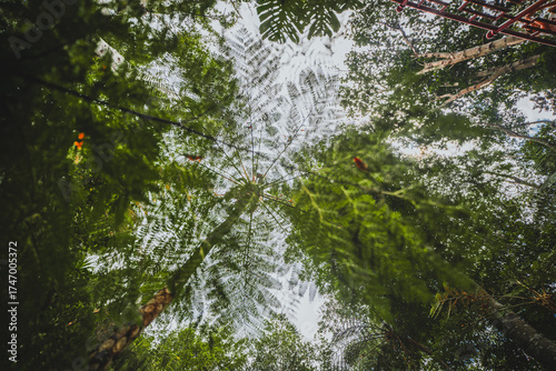 A lush palm forest reaching toward a clear blue sky inside the Monte Palace Tropical Garden in Funchal, Madeira Island. The photo captures the tropical beauty and calm atmosphere of the park, with sun