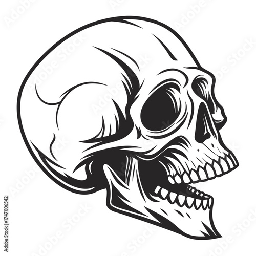 Black skull silhouette with hollow eyes and open mouth