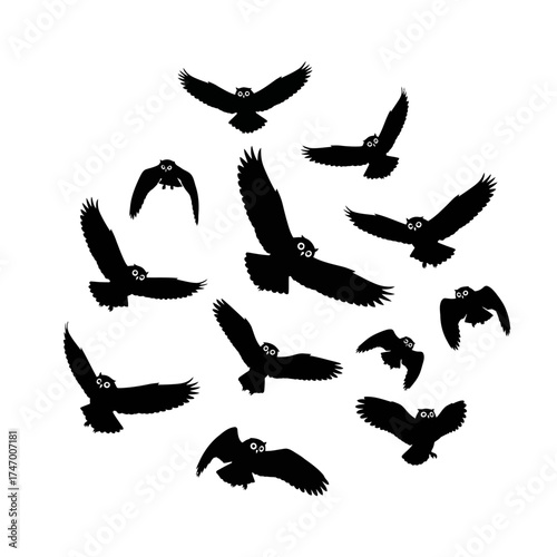 A Flock of Owls Silhouettes in Flight.