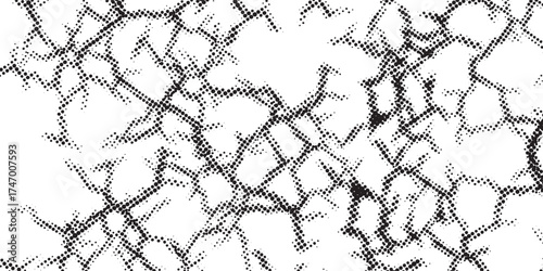 Abstract Black and White Networked Texture with Jagged Lines.