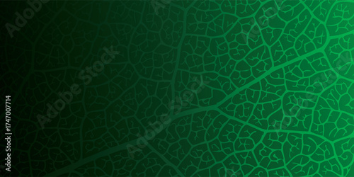 Detailed green leaf venation pattern with vibrant gradient texture natural organic background.