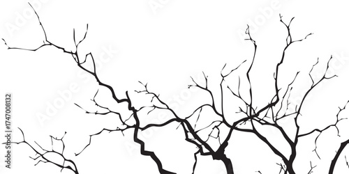 Intricate bare tree branches gnarled dark silhouette organic texture graphic winter dormant.