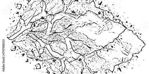 Abstract Black and White Cracked Surface with Detailed Texture.