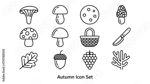 Autumn Harvest Line Art Icon Set Featuring Mushrooms Acorns Grapes and Oak Leaf Design Elements for Seasonal Projects