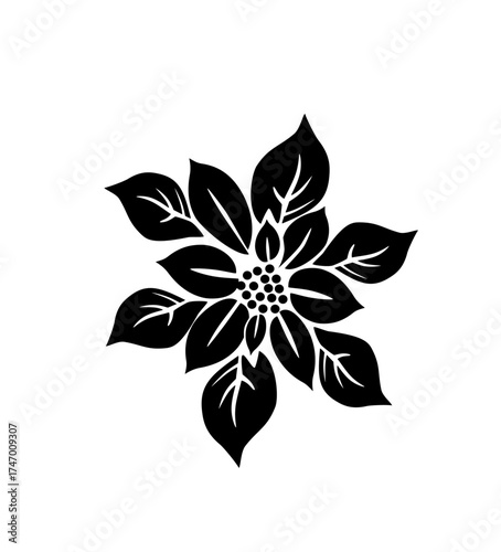 Poinsettia flower line art, elegant Christmas floral element representing festive beauty and seasonal holiday decoration.