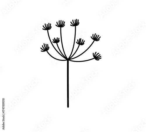 Simple floral winter branch line art, delicate minimalist plant illustration perfect for Christmas and seasonal decor.
