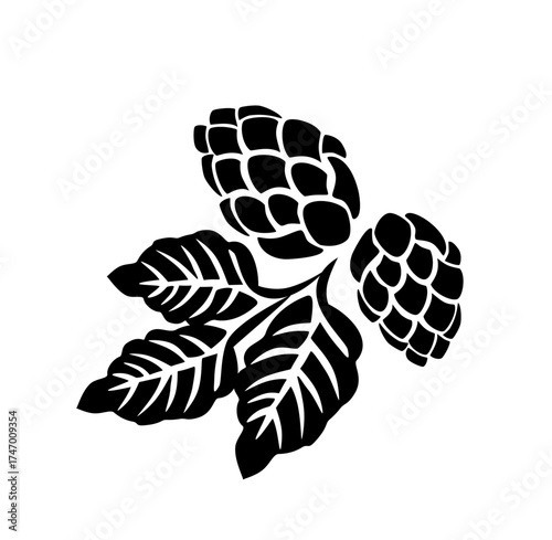 Hand-drawn pine cone and leaf line art, natural botanical element for Christmas and winter decoration design.