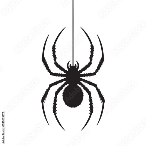 Spooky silhouette of a black spider hanging from a thin thread on a white background
