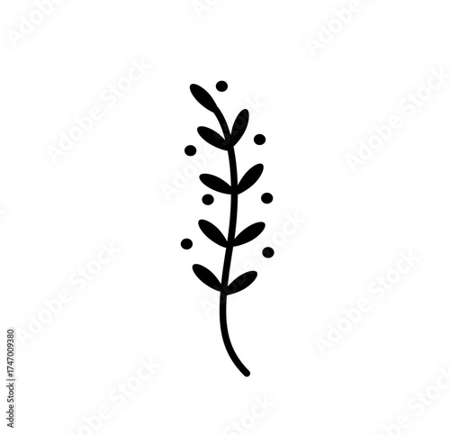 Minimal line art mistletoe branch with round berries, elegant hand-drawn winter plant symbol for Christmas decoration and holiday design.