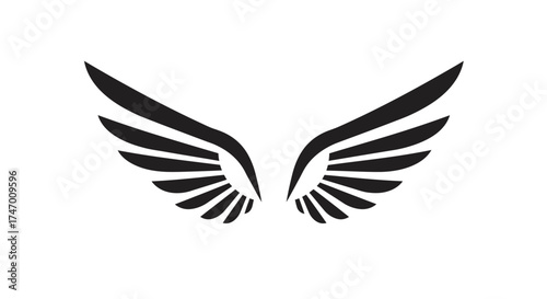 A simple black and white illustration of stylized wings spread out