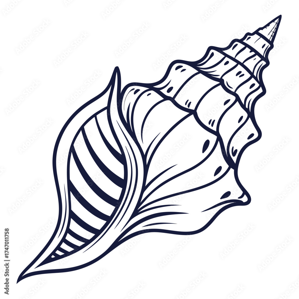 Fotografie Dark blue line art seashell on white background conch