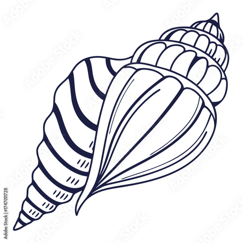 Dark blue line art seashell on white background conch 2