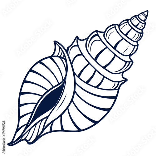 Dark blue line art seashell on white background conch 1