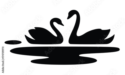 Black swan vector illustration on white background, a beautiful water bird symbol
