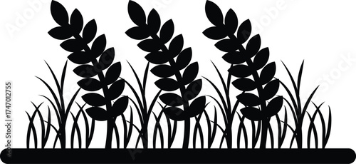 Dense Wheat Field and Tall Grass Silhouette Illustration, Vector Graphic of Ripe Cereal Crop with Heavy Grain Heads