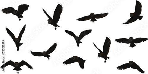 Flying barn owl silhouette collection with spread wings in various poses, nocturnal bird vector illustration design for wildlife, nature, and forest art