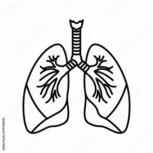 Clean line art illustration of human lungs and trachea, symbolizing respiratory health and medical science.