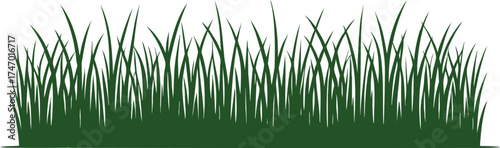 Green grass horizontal landscape border element vector illustration isolated on a white background