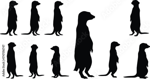 Meerkat Silhouettes in Upright Alert Poses and Varied Sizes — Wildlife Vector Set for Nature, Behavior Study, and Educational Design Projects