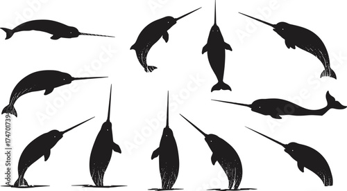 Narwhal Silhouettes in Various Swimming and Upright Poses with Spiral Tusks — Marine Wildlife Vector Set for Nature, Biology, and Ocean Design Projects