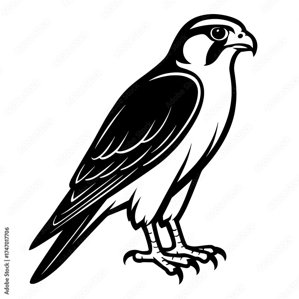 Obraz premium Black and white illustration of a falcon standing confidently 