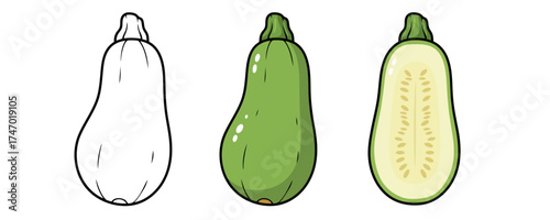 Cartoon zucchini illustration in three styles vibrant green and yellow colors representing vegetable food, cooking, and coloring book content