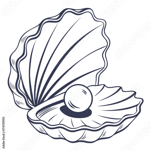 Open seashell with pearl inside line art oyster ocean