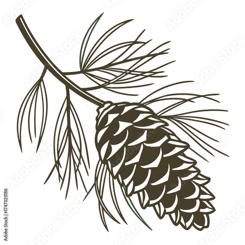 Pinecone on pine branch vector graphic pine needles