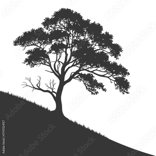 Silhouette of a tree on a grassy hill nature