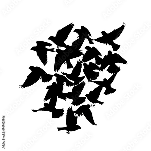 Flock of birds in flight silhouette against a white background.