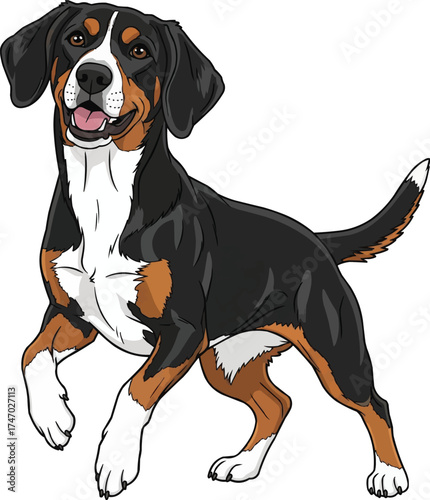 Dunker dog standing happy playful pose vector illustration