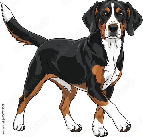 Dunker dog walking forward pose vector illustration