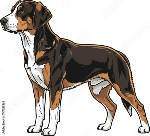 Dunker dog standing sideways side profile vector illustration