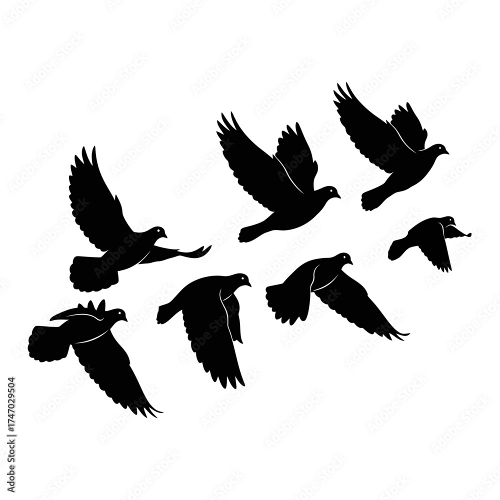 Obraz premium Flock of Birds Silhouettes in Flight, Black on White.