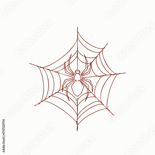 Intricate spider web with a detailed spider at the center, showcasing fine silk threads and symmetrical design on a plain