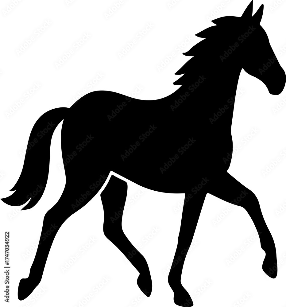 Obraz premium horse silhouette isolated on white